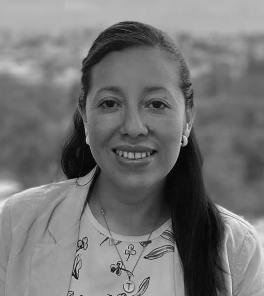 Investigadora principal: Prof. Tanya P Donoso Mogollón