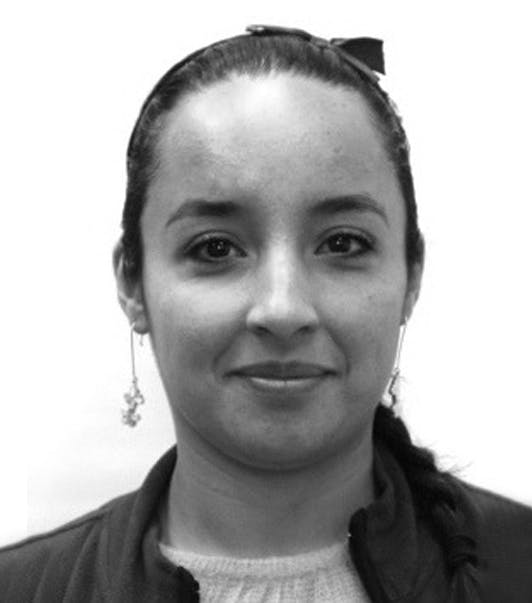 Investigadora principal: María del Cisne Aguirre Ullauri